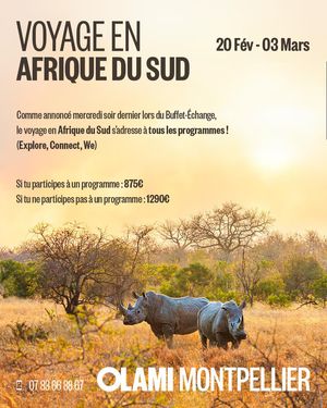 Voyage en Afrique du Sud - Programme Olami Explore