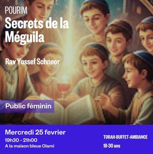 Secrets de la Méguila by Rav Yossef Schneor